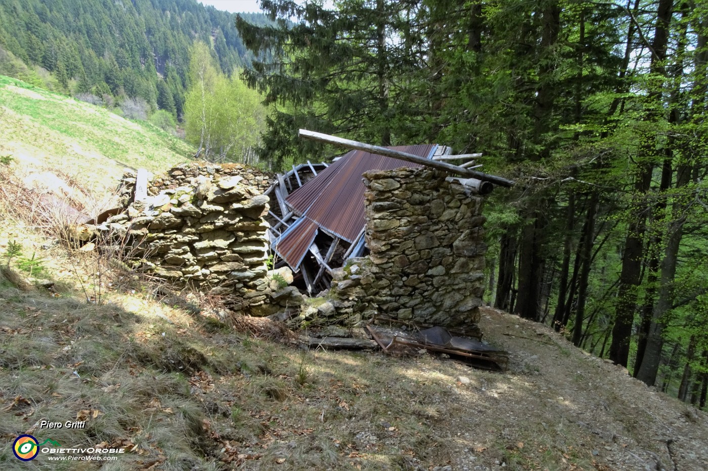 25 Baita diroccata salendo dalla strada agrosilvopastorale ai prati della Pigolotta.JPG